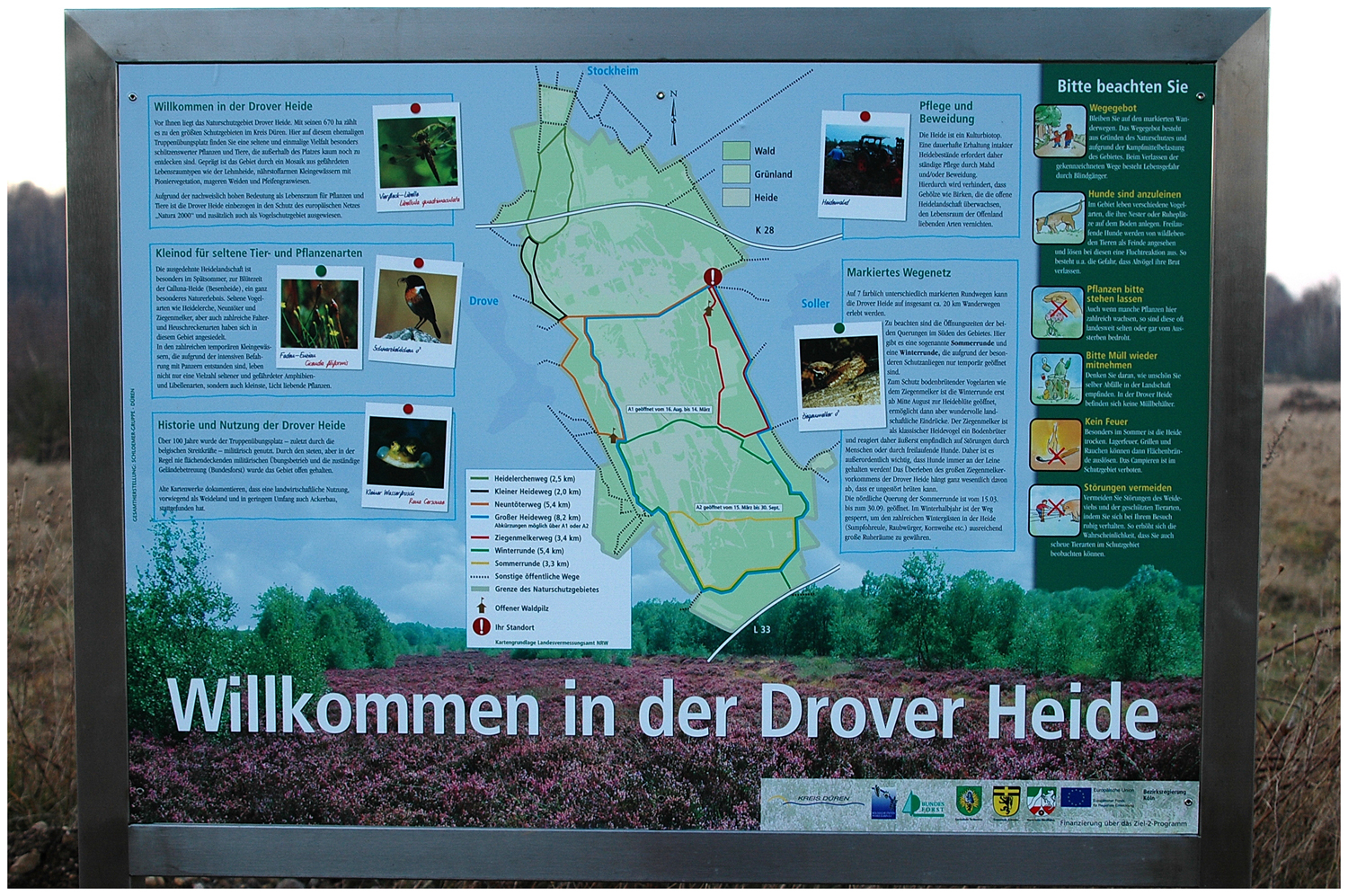 Naturschutzgebiet Drover Heide