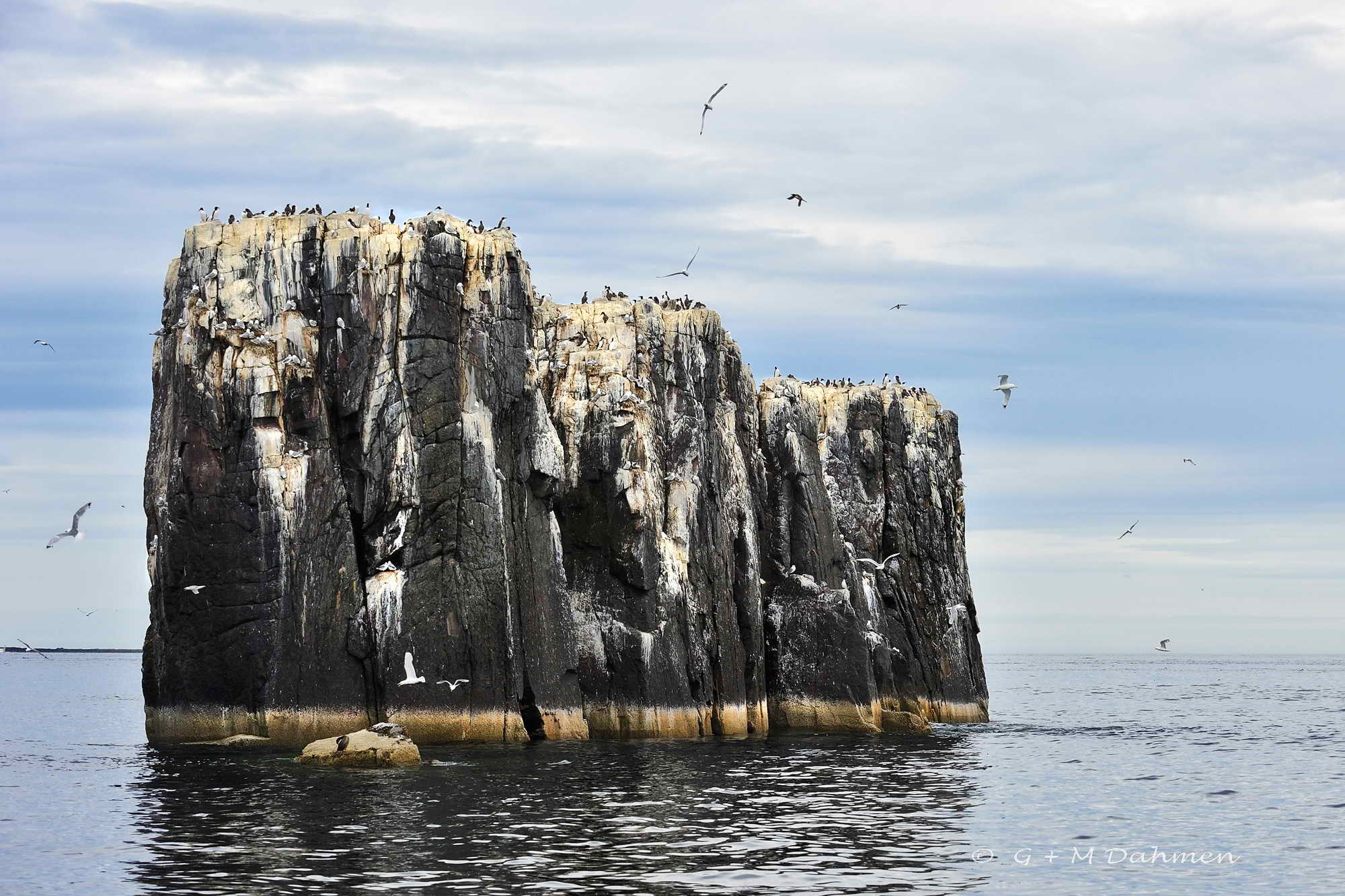 Staple Island