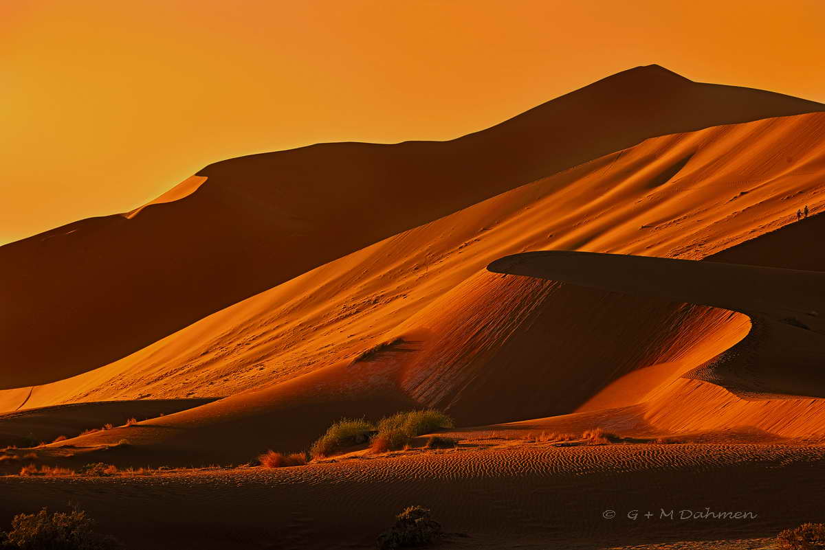 Die Roten Dünen von Namibia