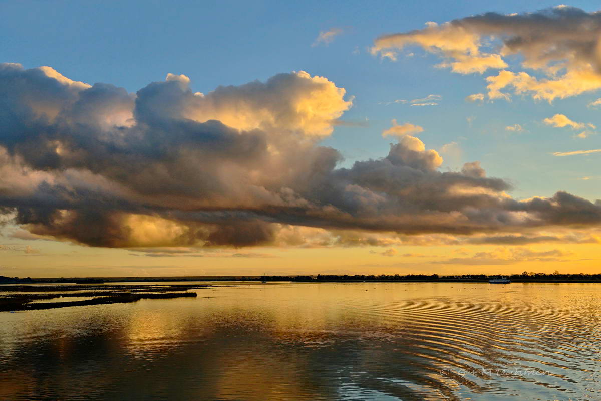 Boddenlandschaft