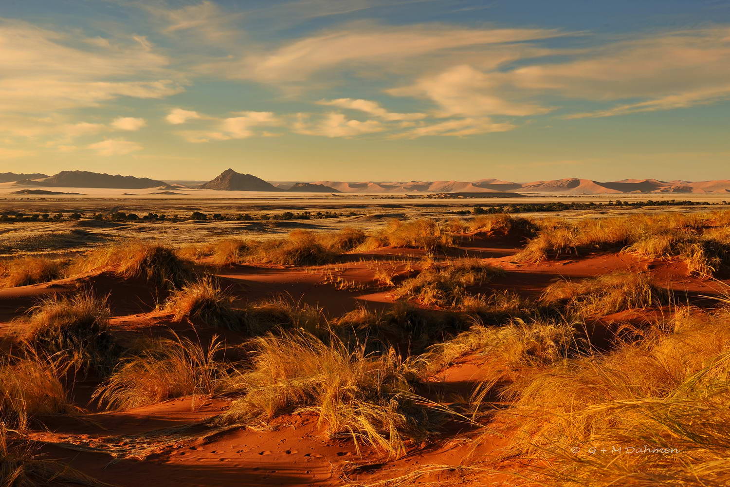 Namib Naukluft Park in Namibia