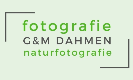 Naturfotografie G&M Dahmen