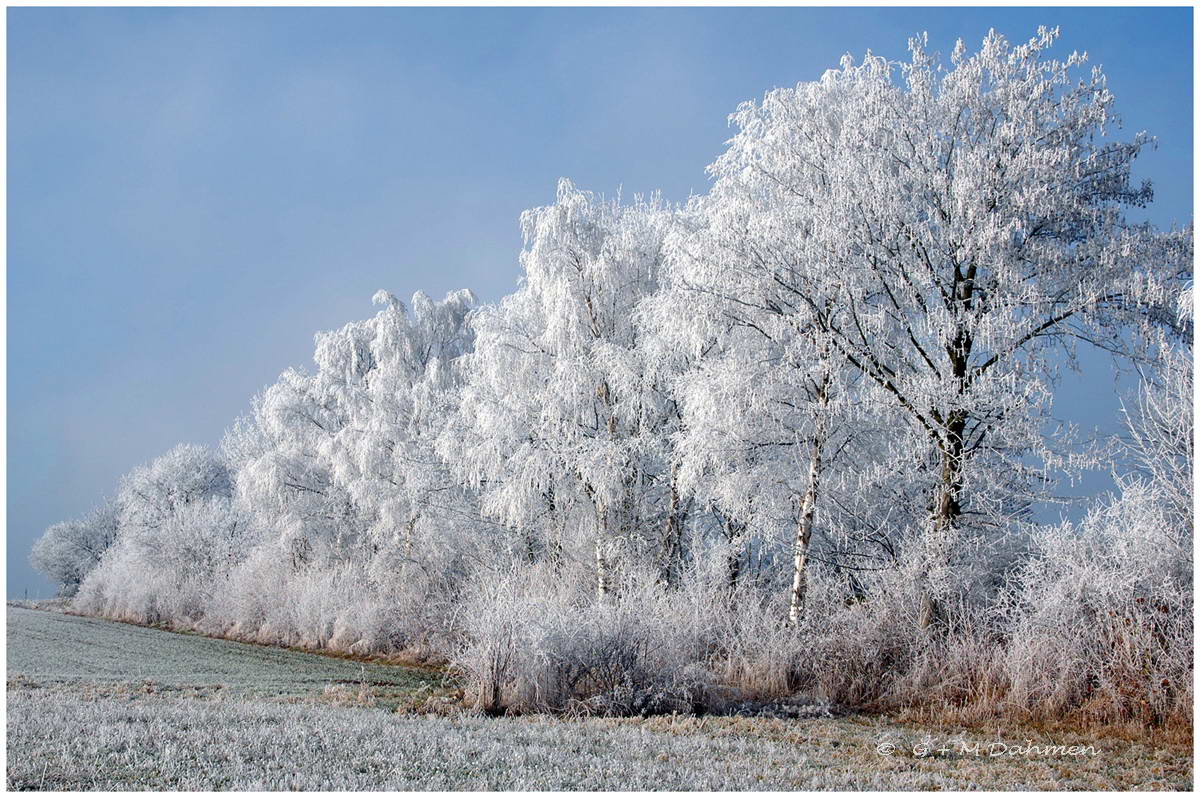 Winterlandschaft Eifel