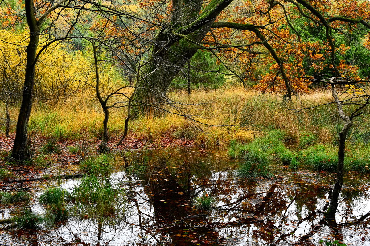 Nationalpark Jasmund