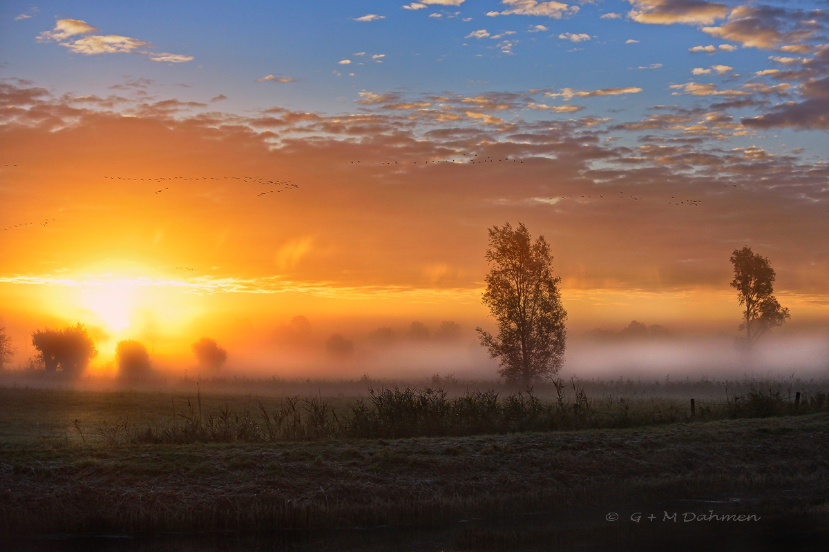 Morgennebel in der Eifel