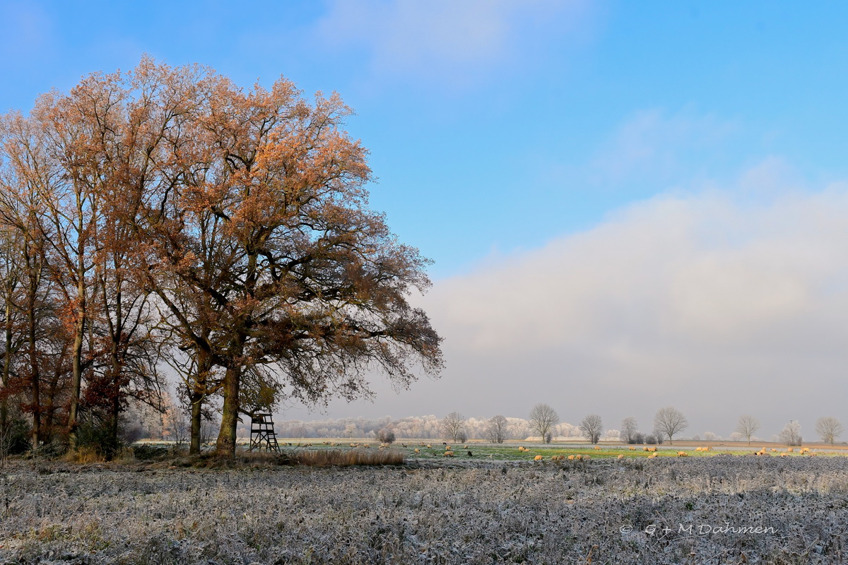 Winterlandschaft