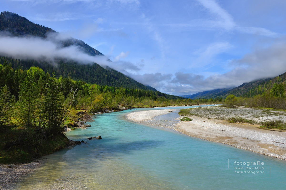 Wildflusslandschaft Isartal